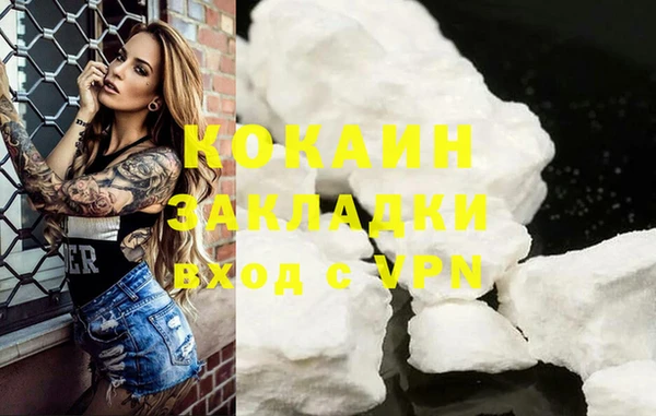мет Дмитриев