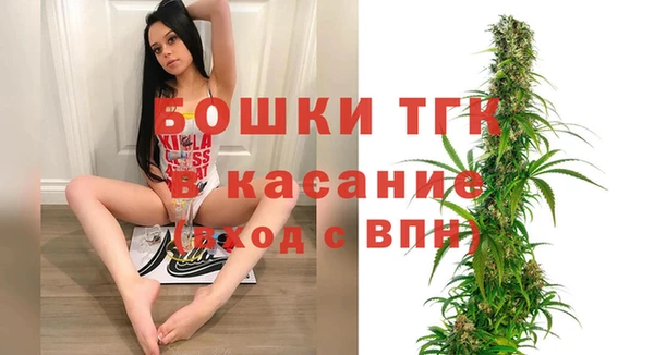 мет Дмитриев